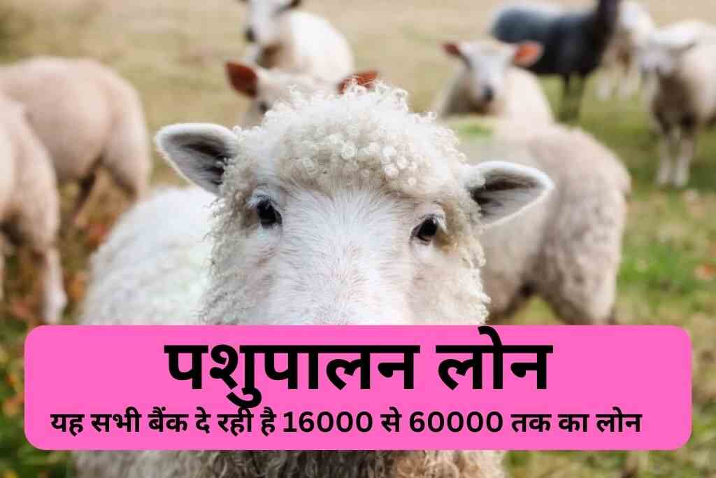 गाय भैस खरीदने के लिए लोन Details 2024