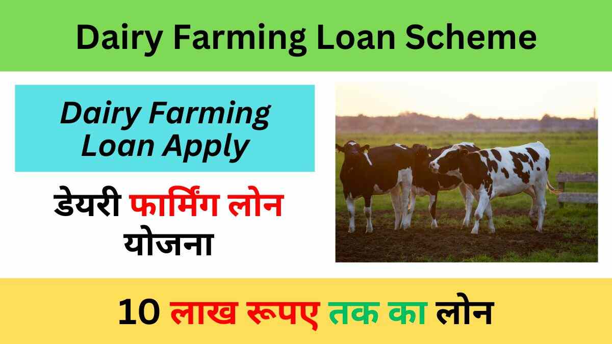 Dairy Farming Loan Scheme