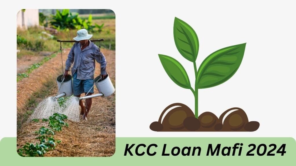 KCC Loan Mafi 2024