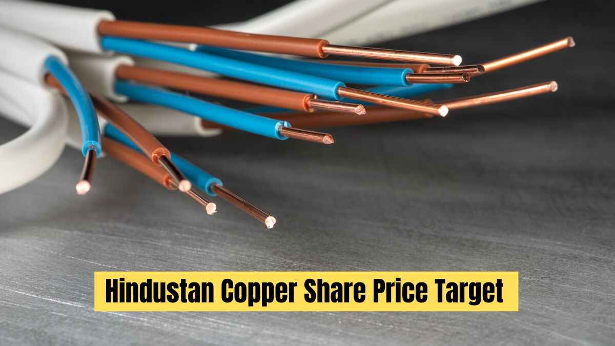 Hindustan Copper Share Price Target 2024