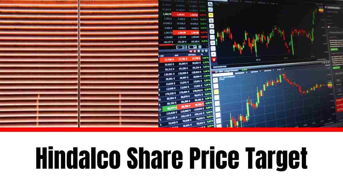 Hindalco Share Price Target 2024